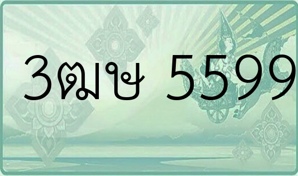3ฒษ 5599